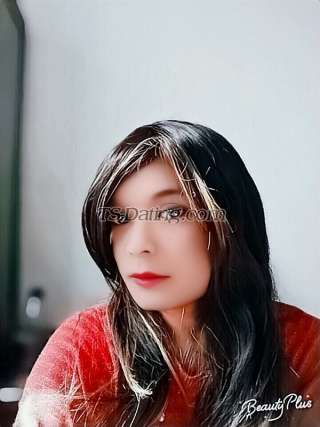 trans girl zoyaa4u 2379111