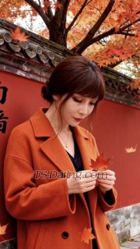 trans girl zxcvbnm2 1831633 trans girl zxcvbnm2 1831633