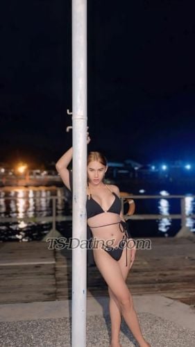 trans girl zyzy03 8804240